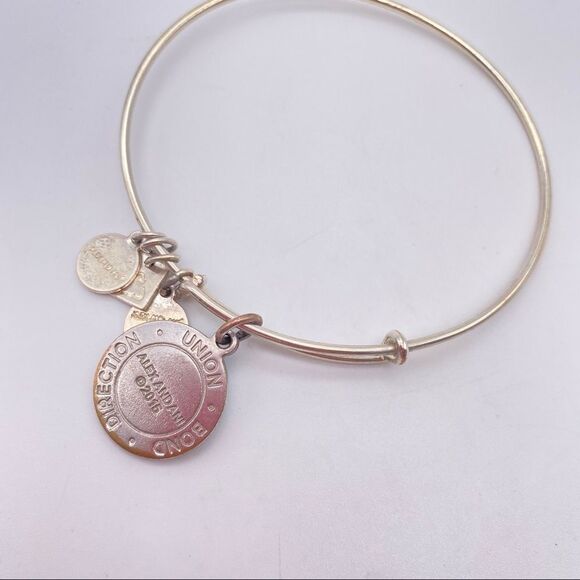 Alex and Ani arrows of friendship charm bracelet - Picture 4 of 5